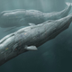 Illustration for article titled After the cyborg whale revolution, things were a little different